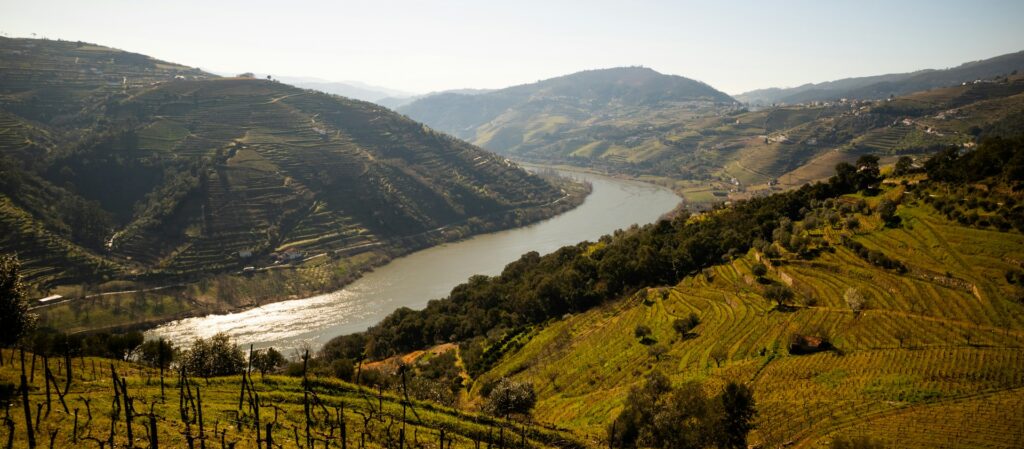 Vineyards and landscape in the Douro Valley, Portugal