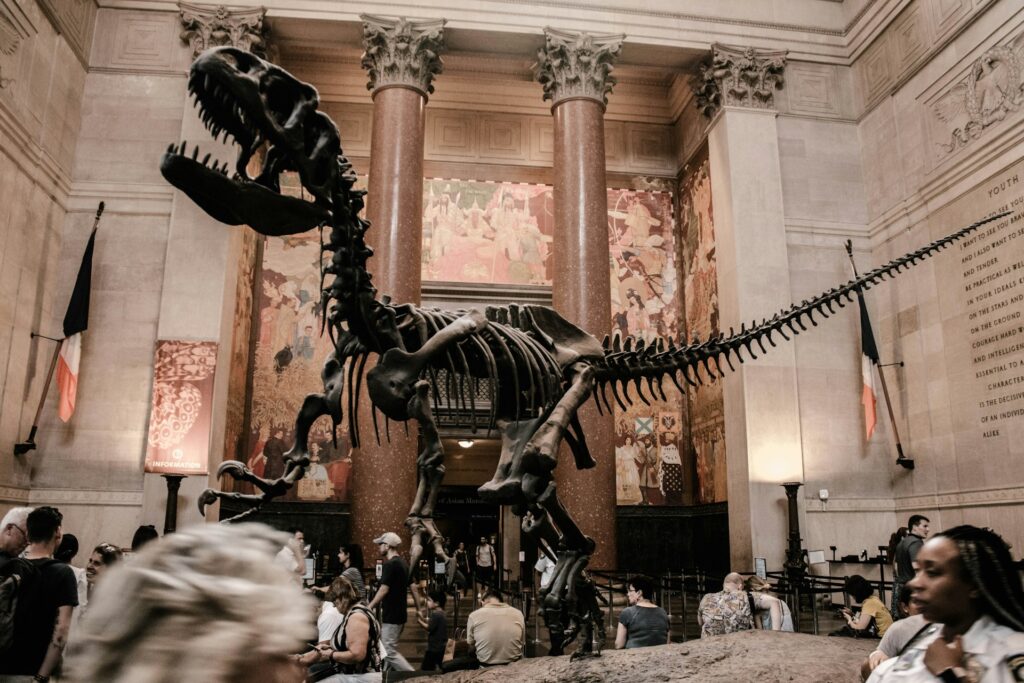 American Museum of Natural History in New York
