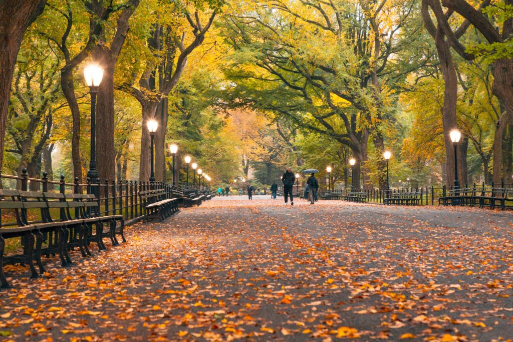 Central Park in New York, USA