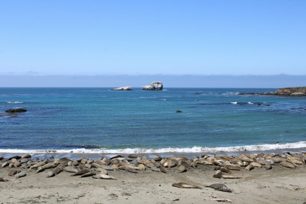 San Simeon, USA