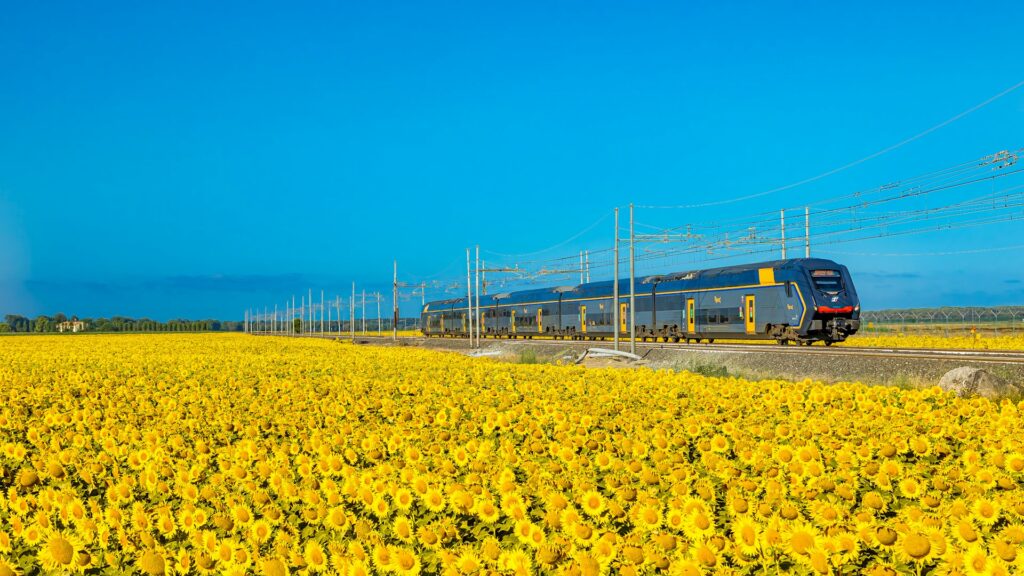 Train in Italy