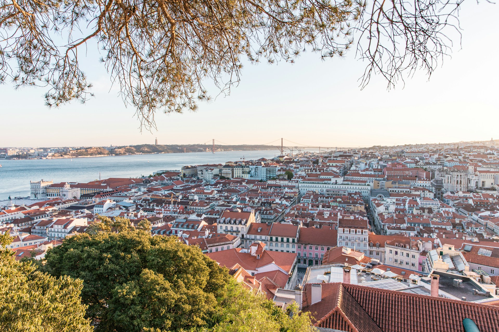 Where to Stay in Lisbon: Best Neighborhoods for Every Type of Traveler